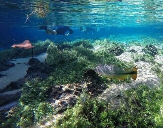 Recanto Ecológico Rio da Prata - Bonito MS | Oiaká Turismo