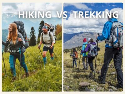 Inserir um subtítulo (5)